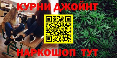 шишки Бийск