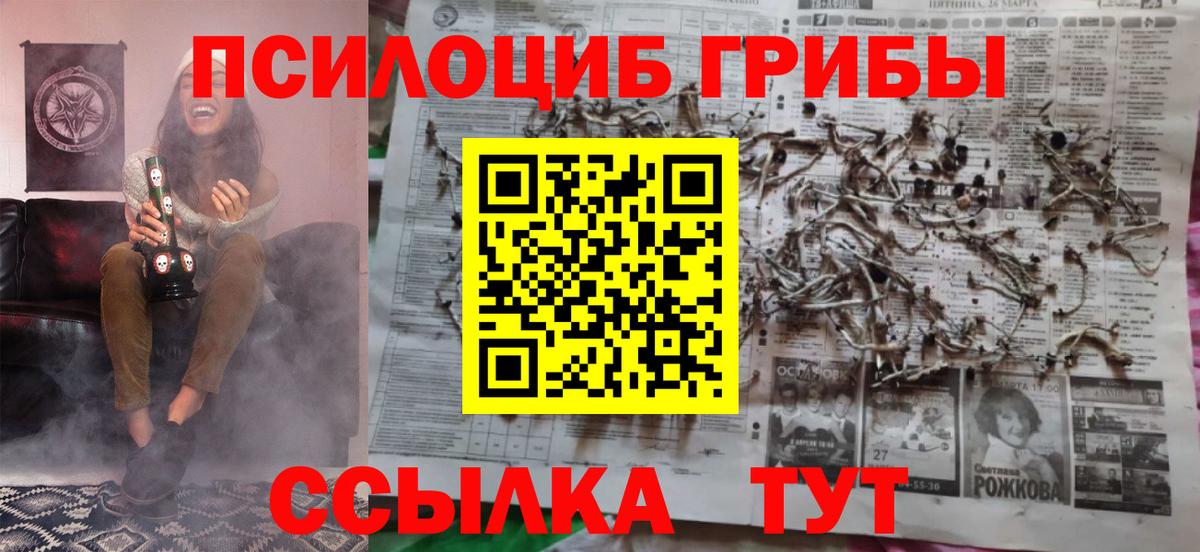 Псилоцибиновые грибы Cubensis Звенигород